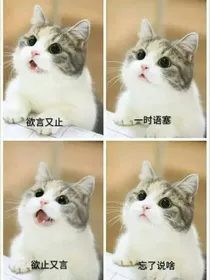 法师：黑宝石