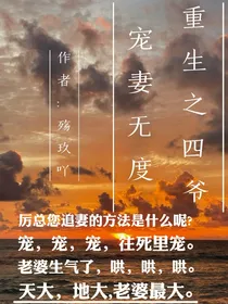 重生之四爷宠妻无度