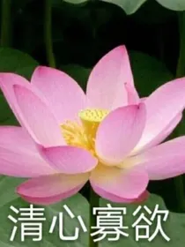 奈奈小铺