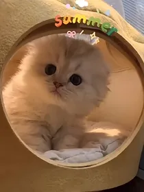 壁纸头像杂货铺