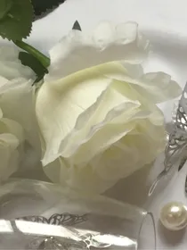 黄昏玫瑰