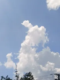 凤辞天下