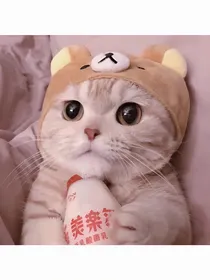 相遇（相识）