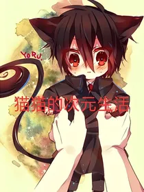 猫猫的次元生活