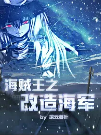 海贼王：改造海军