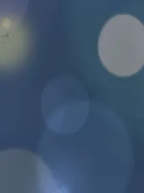 独木于心已成林