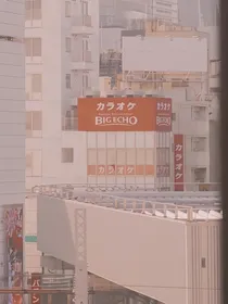 穿书女配只想跑