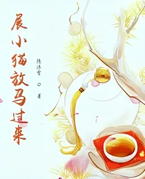 展小猫，放马过来