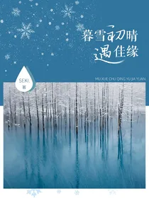 张嘉元：暮雪初晴遇佳缘