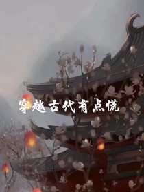 穿越古代有点慌