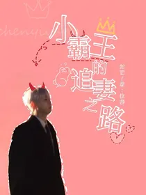小霸王的追妻之路