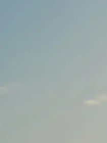 长生树，梦