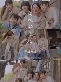 向往的：贩卖日落