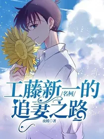 名柯：工藤新一的追妻之路