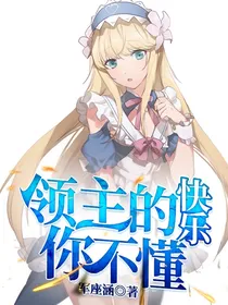 领主的快乐你不懂