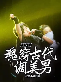 TNT：魂穿古代撩美男