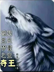 狼王梦之岚桑重生夺王