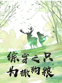 综穿之只为撒狗粮