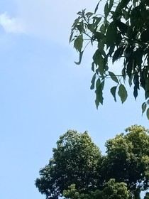 烟来之往