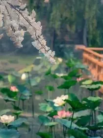 落溪