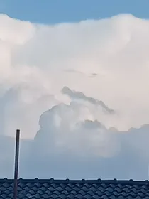 我们是天生的恶鬼