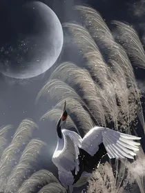 爵迹小日常