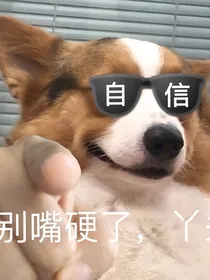 论憨批的修养