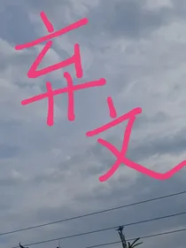 做家务的男人3：新婚夫妇