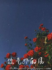 你是39度的风