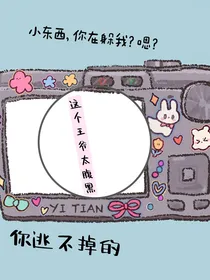 穿书之这个王爷太腹黑