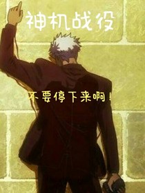神机战役-d313