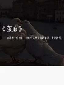 荼靡不薄相思
