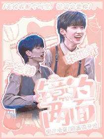 TNT：镜的两面