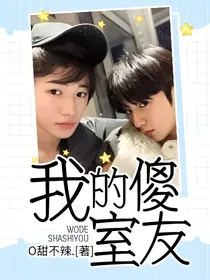 我的傻室友