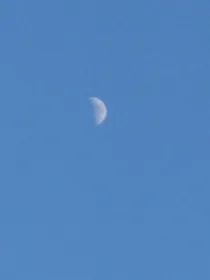 这世与我何干？