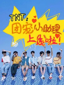 TNT：团宠小助理上线啦！