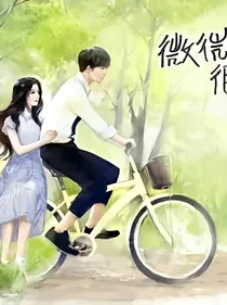 快穿微微一笑很倾城攻略肖奈