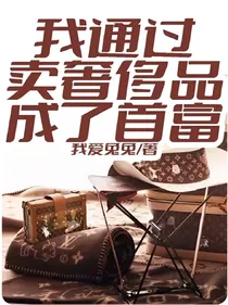 我通过卖奢侈品成了首富