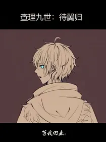 查理九世：待翼归