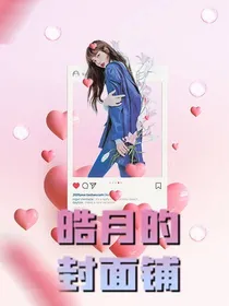 皓月的封面铺子