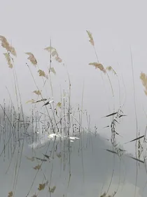 二儿是页