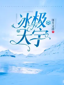 冰极天宇