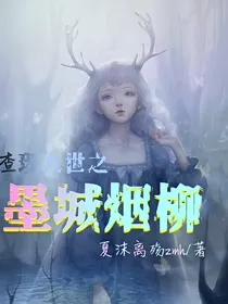查理九世之墨城烟柳
