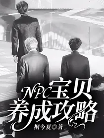NPC：宝贝养成攻略