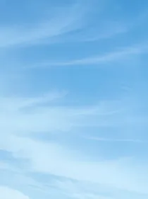 不楚