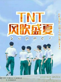 TNT：风吹盛夏