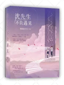 沈先生不负遇见