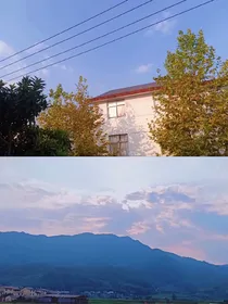 赵冠羽：超自然实录