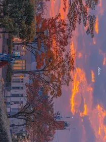 今天你是否遇见阳光
