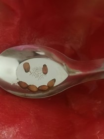 关于反派怎么活下来这件事